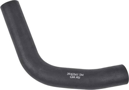 Hose, 1969 Camaro Small Block Lower Radiator