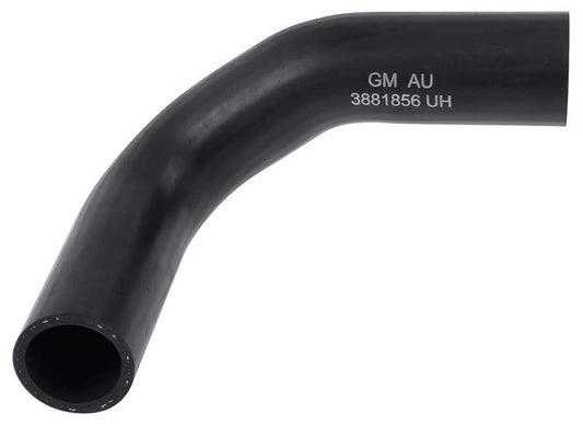 Radiator Hose, 1966-1967 Nova Small Block Lower - With Spec High Performance