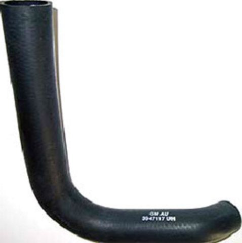 Radiator Hose, 1969-1972 Truck Lower- 396